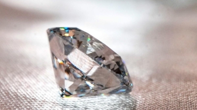 Цветочное чудо: история первого в мире алмаза, выращенного из цветов